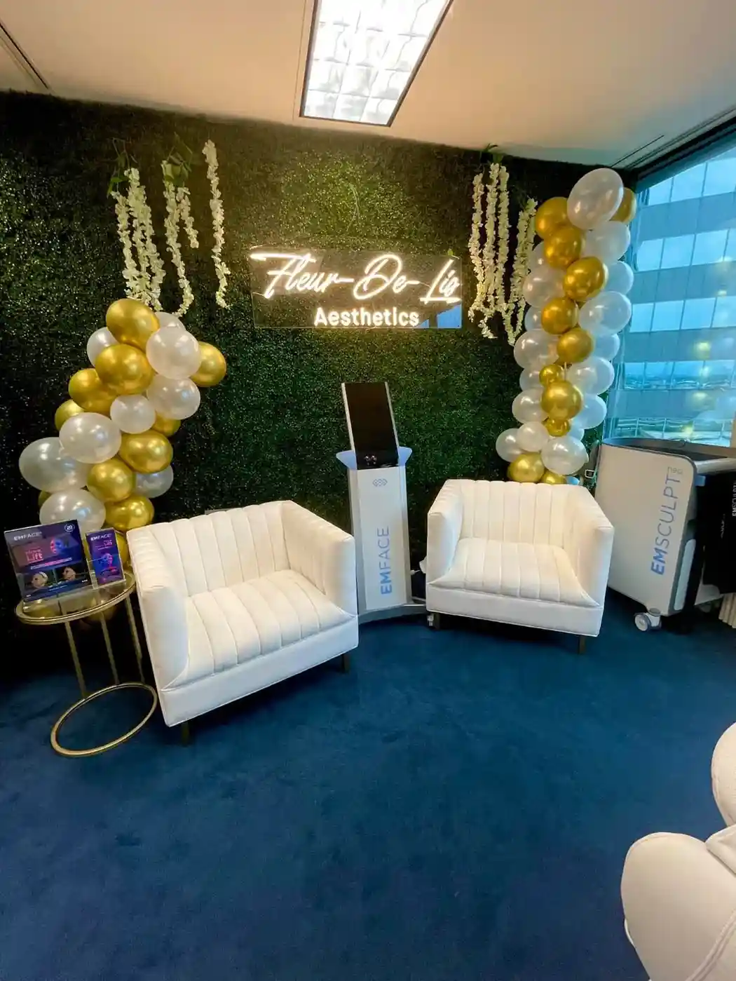 Fleur-De-Lis Aesthetics